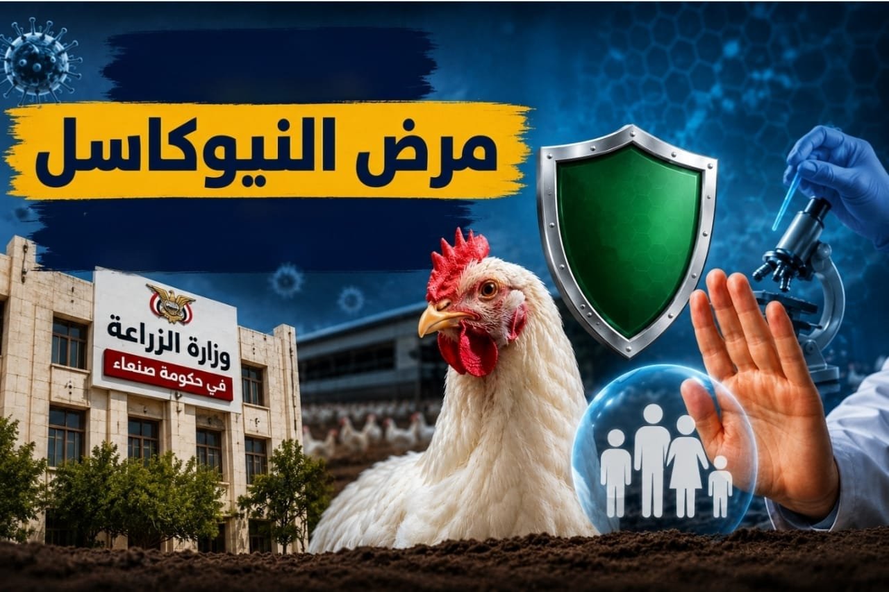وزارة الزراعة تطمئن المواطنين : مرض النيوكاسل يقتصر على الدواجن والطيور ولا يشكل أي خطر على صحة الإنسان
